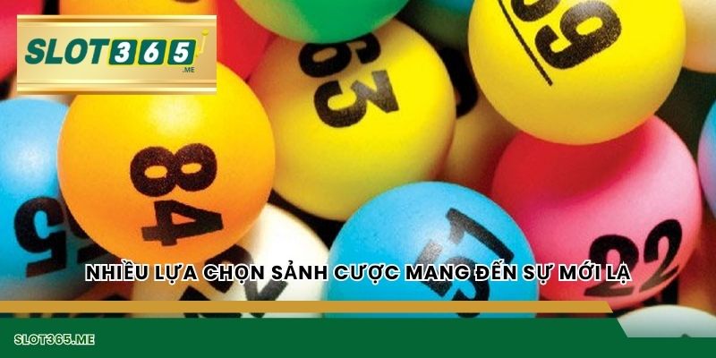 Nhiều lựa chọn sảnh cược mang đến sự mới lạ